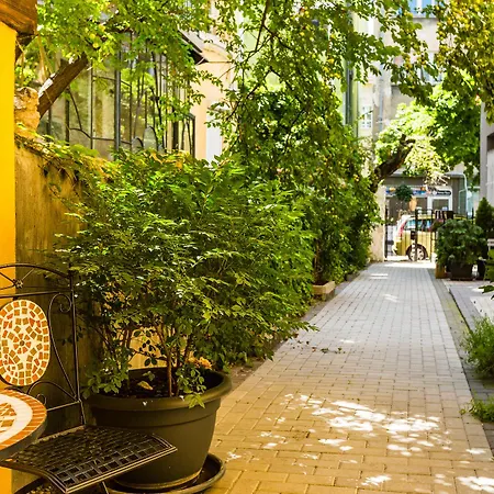 5 Vintage * София